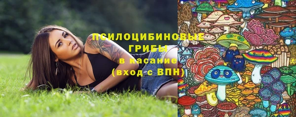 стаф Кинешма