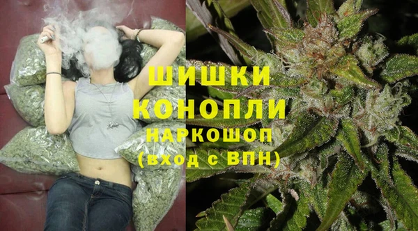 стаф Кинешма