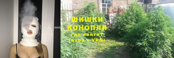 СК Козельск