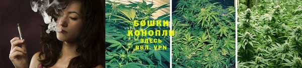 СК Козельск