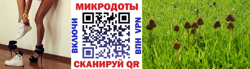 Купить где  Дудинка  Псилоцибиновые грибы GOLDEN TEACHER 